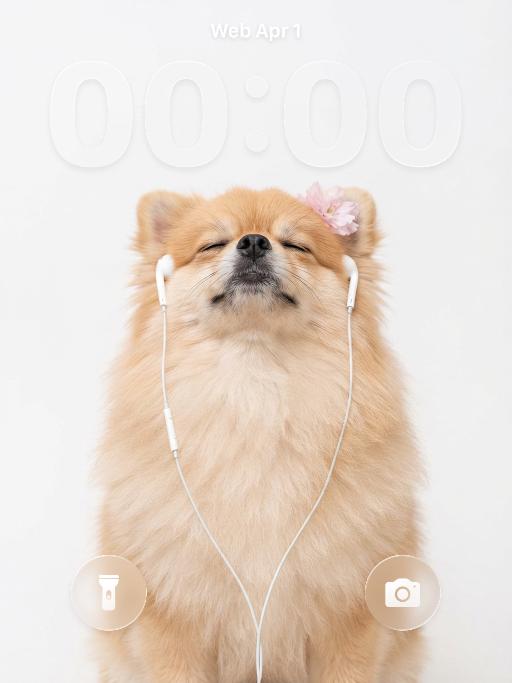 Pet Vibes AI effects generated image