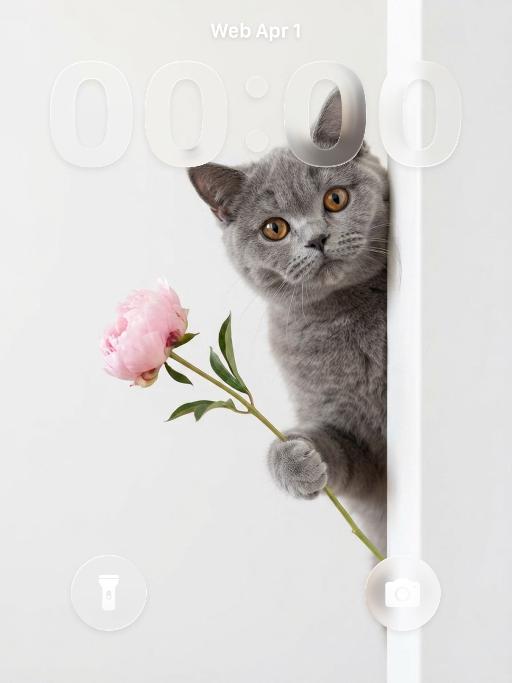 Pet for You AI effects generated image