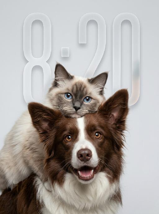 Fluff Stack AI effects generated image