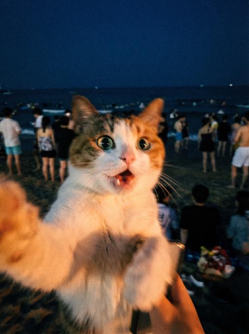 Night Selfie AI effects generated image