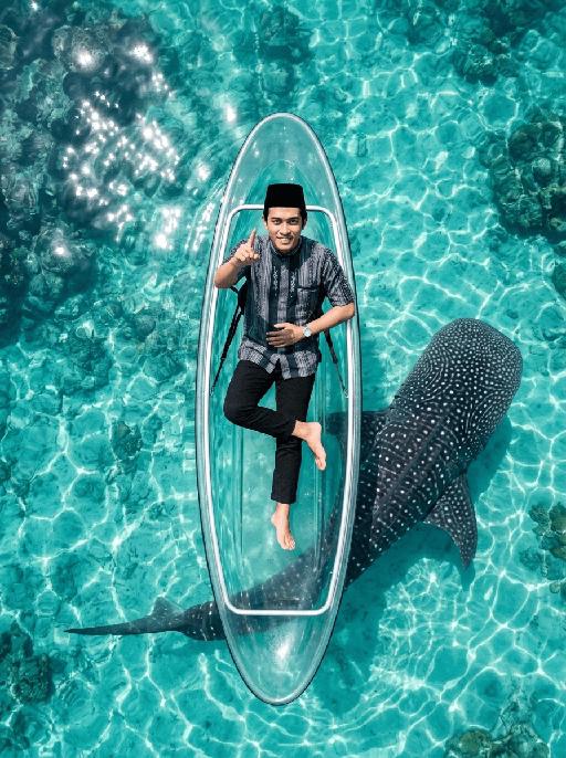 Whale Glide AI effects generated image