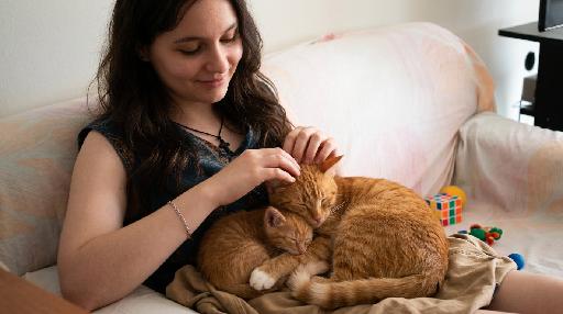 Image To Image AI effects generated image