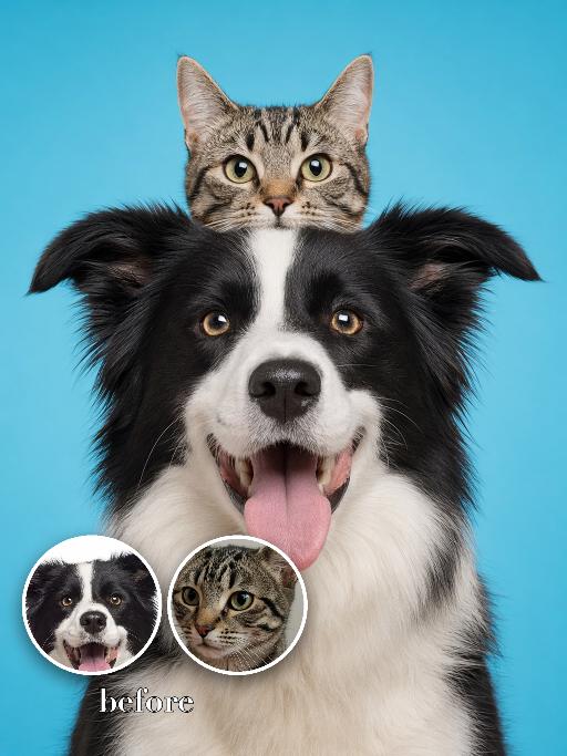 Head Stack AI effects generated image