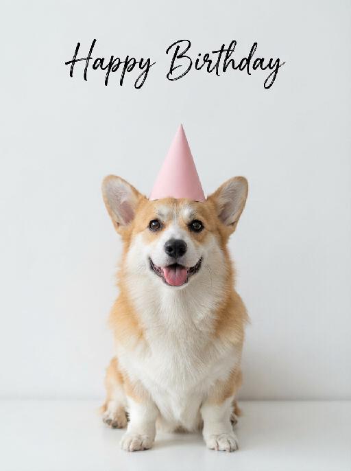 Pet Blessing AI effects generated image