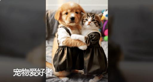 pet_lovers AI effects generated image