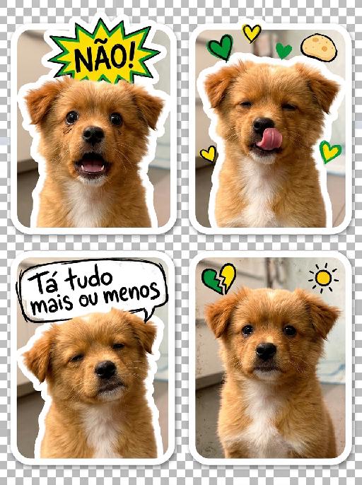 Sticker Star AI effects generated image