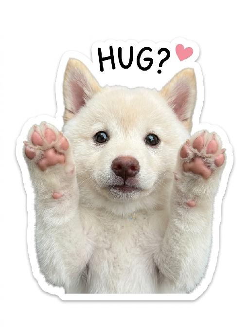 Hug Pet AI effects generated image