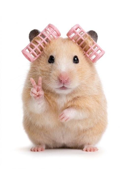 Pet Peace AI effects generated image