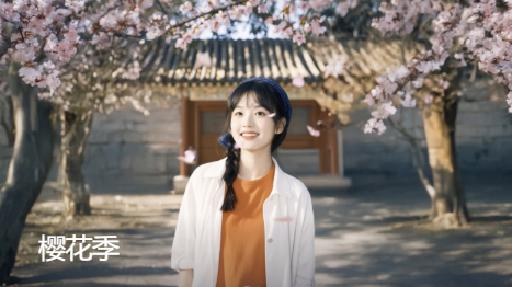 Sakura Season AI effects generated image