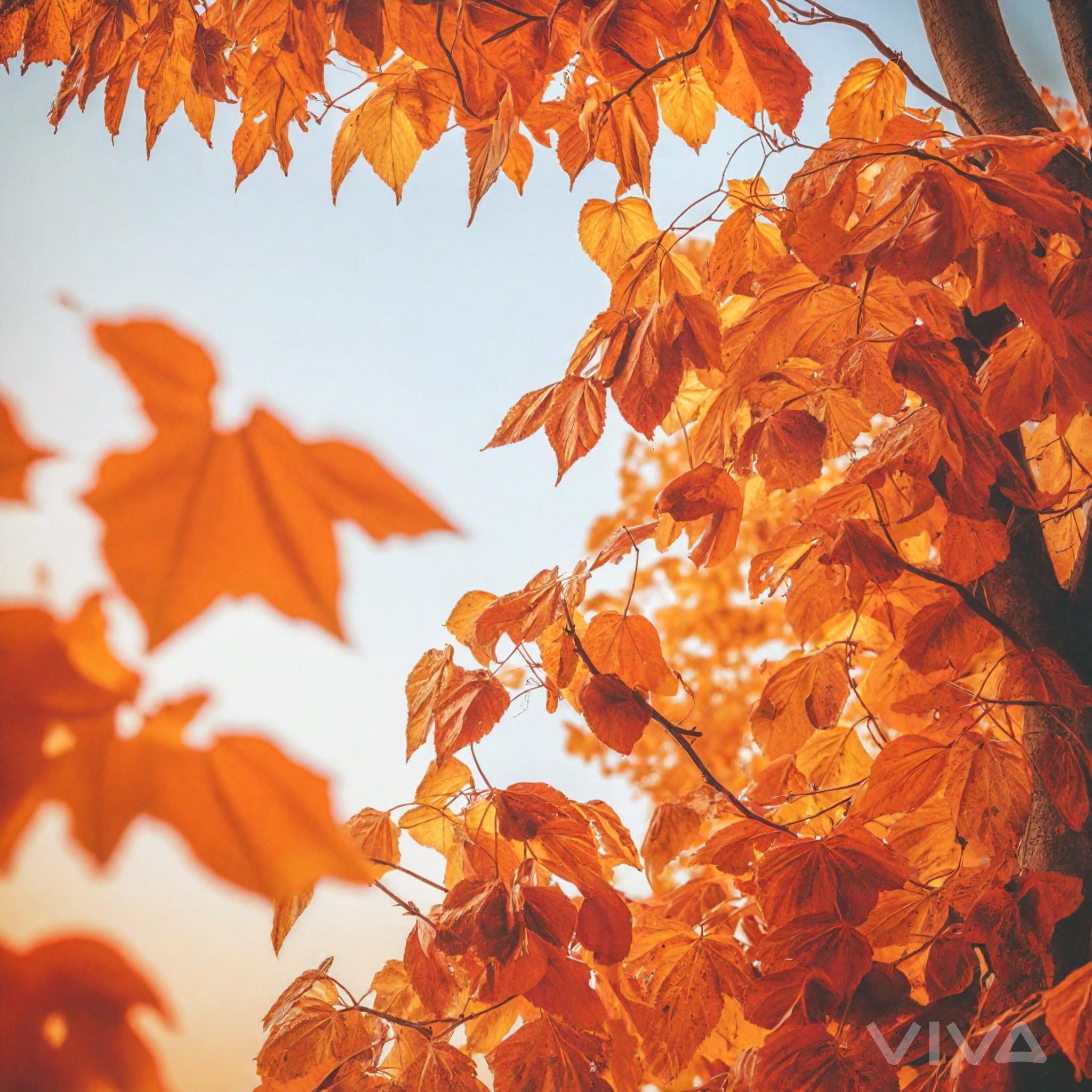 Fall Visuals AI-Generated Fall Scene with Vibrant Orange Leaves & Rustic Atmosphere ...