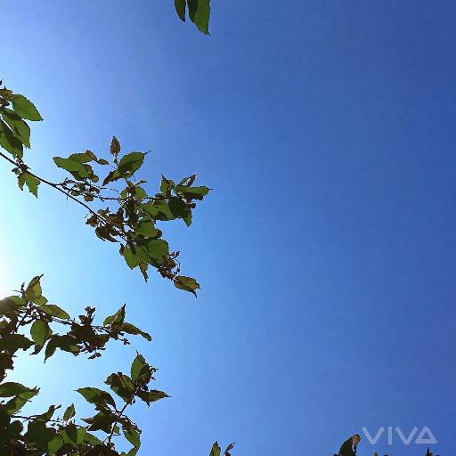 Image to Image AI effects generated image