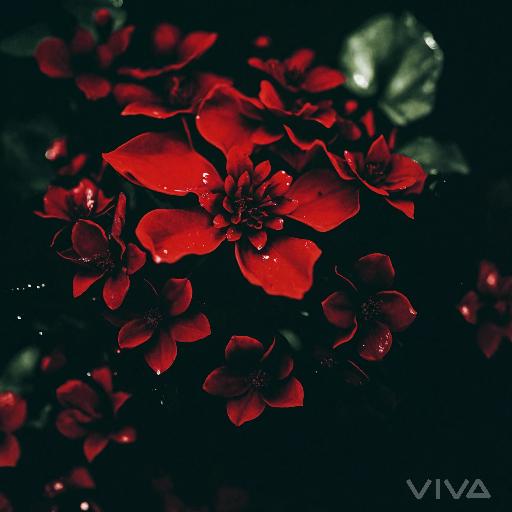 Image to Image AI effects generated image