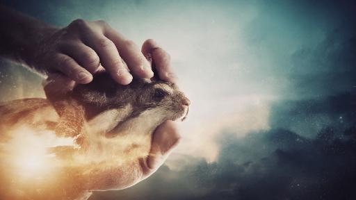 Text to Image AI effects generated image