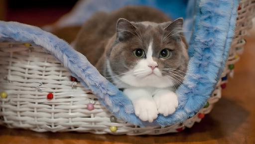 AI Magic Eraser AI effects generated image