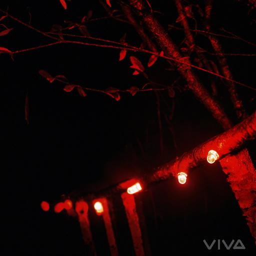 Image to Image AI effects generated image