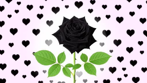 black rose AI effects generated image